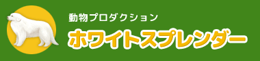 動物プロダクション・東京・千葉・グレートピレニーズ犬舎｜ホワイトスプレンダー<