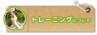 トレーニングについて