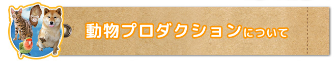 動物プロダクションについて